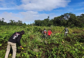 Anggota Kodim 1710/Mimika Bersihkan Lahan Satuan