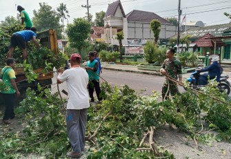 Anggota Koramil 01/Ngawi Bersama Dinas Lingkungan Hidup Bersihkan Pohon Liar