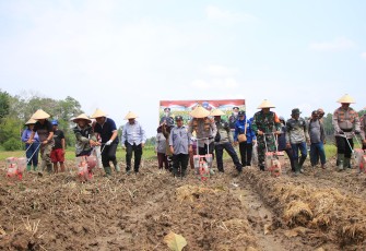 Polres Oku Timur Dukung Penanaman Jagung Serentak Satu Desa Satu Hektar