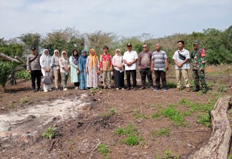 Desa Tanjung Bunga Lakukan Penanaman Jagung 