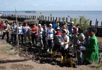 Rehabilitasi pesisir pantai Mundam-Dumai, Riau