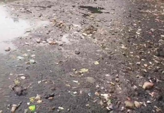 Penampakan kondisi Situ Bahar dengan tumpukan sampah, Selasa (7/10)