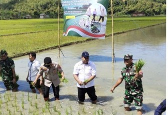 Tanam padi serentak di wilayah Kodim 0801/Pacitan 