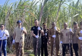 AHY bersama Mentrans Iftitah saat panen tebu