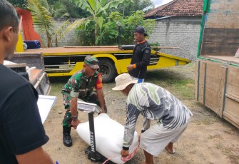 Babinsa Trenggalek dan Petani Satukan Langkah Jaga Ketahanan Pangan