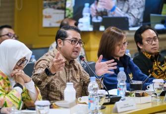 Menekraf Teuku Riefky paparkan strategi penguatan ekonomi kreatif daerah di rapat kerja bersama Komite III DPD RI, Jakarta (7/5/2025).