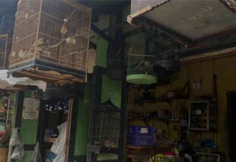 Beberapa sangkar burung tergantung rapi di lapak kecil Pak Kelih