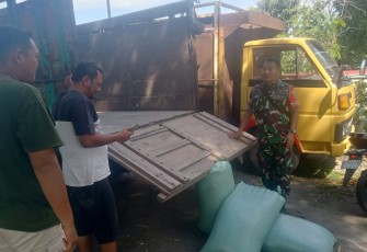 Babinsa Manguharjo Dampingi Serapan Gabah 10 Ton Hasil Panen Poktan Tani Makmur 1