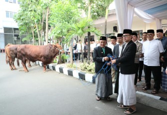 Wamendagri Serahkan Hewan Kurban Kemendagri dan BNPP