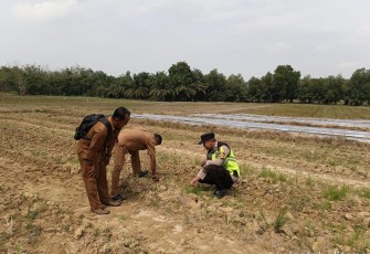 Bhabinkamtibmas Polsek Belitang III Laksanakan Pendampingan
