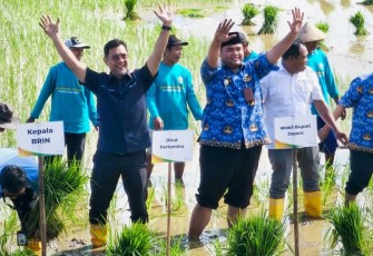 Kegiatan Farm Field Day (FFD) Hilirisasi Inovasi Teknologi Energi Mendukung Ketahanan Pangan yang digelar di Kabupaten Jepara, Rabu (17/12).