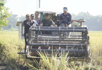 Dandim Madiun Ikuti Panen Raya Serentak Bersama Presiden Prabowo 