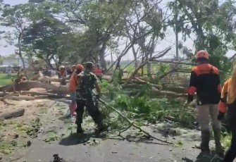 Babinsa Koramil Paron Bantu Warga Tebang Pohon