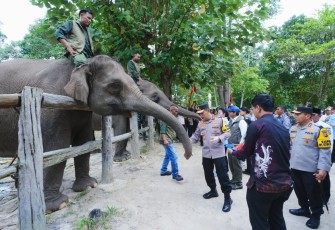 Kapolri-Titiek Soeharto Tinjau Tesso Nilo di Taman Nasional Tesso Nilo (TNTN), pada Selasa (17/3).