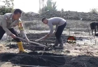 program Pekarangan Pangan Lestari (P2L) di Kecamatan Kuala Simpang, Kabupaten Aceh Tamiang, Kamis (5/2/2026).