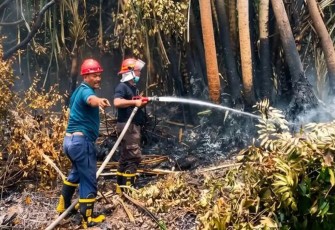 Antisipasi Karhutla, Holding perkebunan Nusantara melalui PTPN IV PalmCo Perkuat Deteksi Dini dan Patroli di Sumatera-Kalimantan