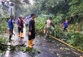 Pembersihan rumpun bambu halangi jalan 