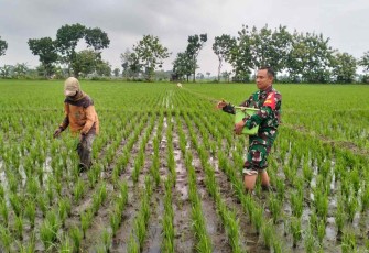 Bantu pemupukan lahan pertanian warga binaan 