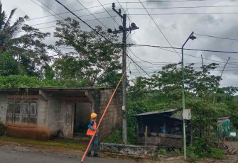 Pembersihan jalur jaringan PLN di wilayah desa binaan 