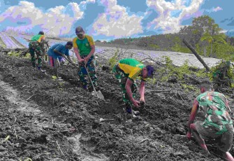 Olah lahan pertanian di perbatasan 