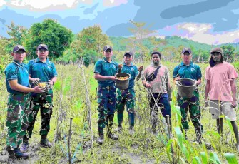 Kemandirian pangan di perbatasan 