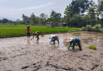 Tanam padi bersama warga binaan