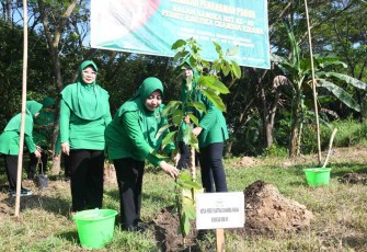 Tanam pohon di kawasan gunung Kendil