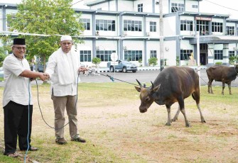 Wadan Kodaeral XIV Laksamana Pertama TNI Tommy Herlambang