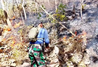 Padamkan kebakaran hutan jati