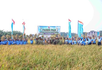 Panen raya padi Lanud Halim Perdanankusuma Jakarta, Selasa (4/8)
