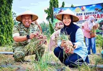 Danlanud Halim Perdanakusuma Marsma TNI Ali Gusman