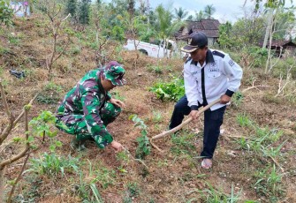 Tanam bibit pohon di wilayah desa binaan