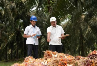PalmCo Targetkan 5.120 Sertifikasi Kompetensi