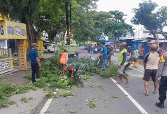 Babinsa Koramil 01/Ngawi dan Bhabinkamtibmas Pangkas Ranting Pohon Di Bahu Jalan 