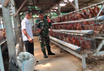 Peternak telur ayam di wilayah desa binaan 