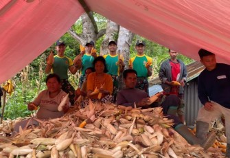 Panen jagung bersama warga perbatasan 