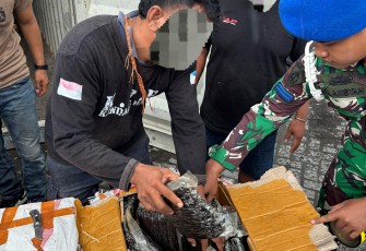 TNI AL dan Bea Cukai Berhasil Gagalkan Penyelundupan Barang Ilegal di Jayapura 