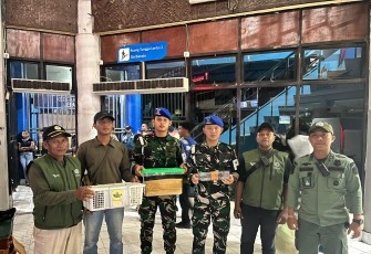 TNI AL Gagalkan Penyelundupan Satwa Dilindungi di KM Gunung Dempo