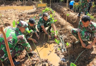 Kodim 0806/Trenggalek dan Pemkab Tanam 1.500 Mangrove di Watulimo Untuk Gegah Abrasi