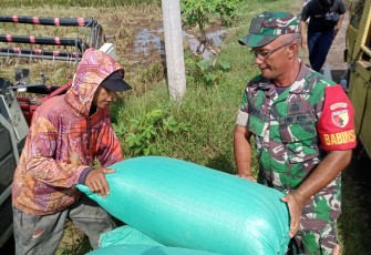 Kebersamaan Babinsa dan Petani Hadirkan Semangat Menuju Swasembada Pangan