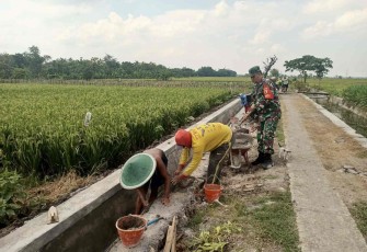 Drainase Dibangun, Harapan Petani Kenongorejo Mengalir Bersama Semangat Gotong Royong
