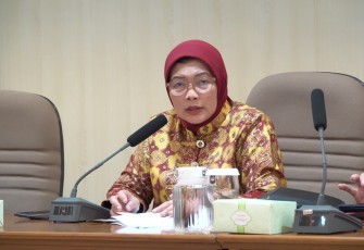 Direktur Sinkronisasi Urusan Pemerintah Daerah IV Ditjen Bina Keuda, Paudah