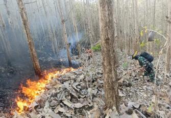 Cegah Kebakaran Meluas, Babinsa dan Perhutani Padamkan Api di Sekitar Hutan Jati Pucangan