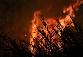 Saat Air Menjadi Tantangan, Petugas Berpacu Menjinakkan Api di Palembang