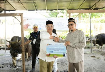 Kegiatan penyembelihan hewan kurban PT SUCOFINDO