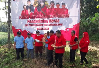Ketua DPRD Jawa Tengah, Sumanto, menghadiri kegiatan panen raya tanaman pangan pengganti beras yang digelar DPC PDI Perjuangan, di area persawahan Desa Koripan, Kecamatan Matesih, Selasa (21/4/2026) siang.