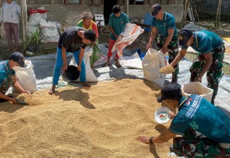 Yonarmed 12 Kostrad Sukseskan Pengelolaan Hasil Panen di Belu