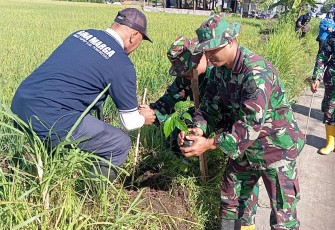 Kodim Ponorogo Lakukan Tanam Anakan Bibit Pohon