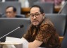 Anggota Komisi IV DPR RI Firman Soebagyo