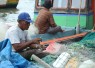 Nelayan dan ABK Perikanan